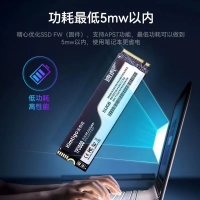 tigo/金泰克TP3000 1T NVME PCIE3.0台式笔记本电脑固态硬盘
