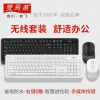 双飞燕FG1010（遂空灰） 无线键盘鼠标套装