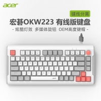 宏基OKW223 月光灰【单键盘】-有线发光键盘