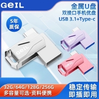 GeIL金邦GP200-64G银色 双接口Type-C手机电脑高速U盘