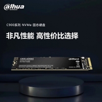 大华 C900VN256G NVME固态硬盘